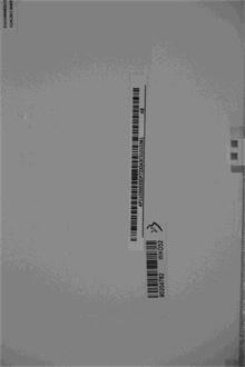 PC LV C560 Slide Cover W/O TV White